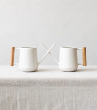 Pilea Peperomioides - Görsel 5