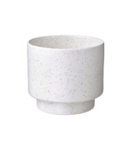 Drakfrukt - Görsel 2