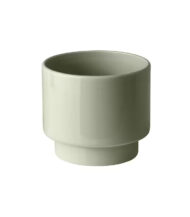 Drakfrukt - Görsel 3